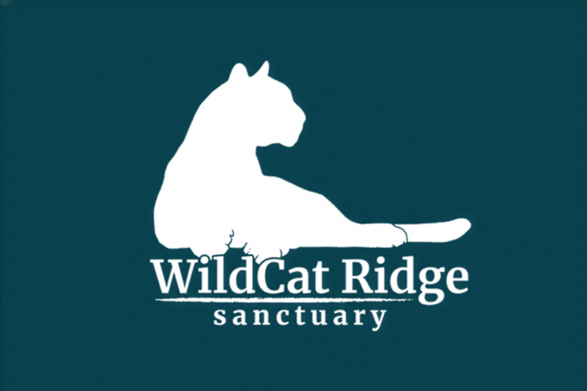 Redirect to substack link